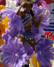 4kids carnival2k7988h.png