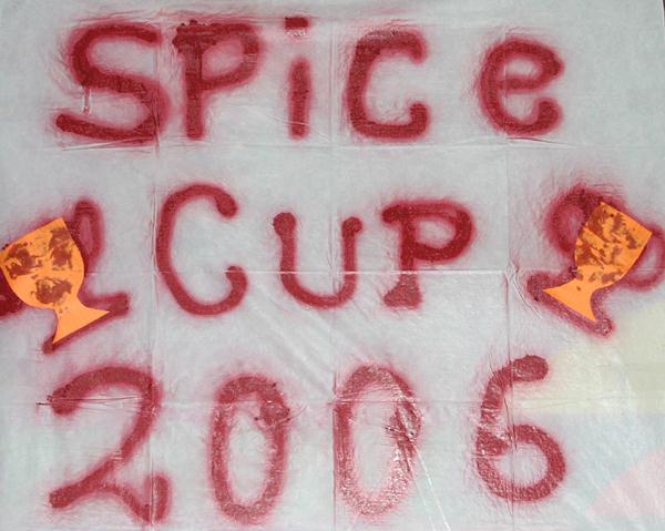 spice cup2k600006.jpg